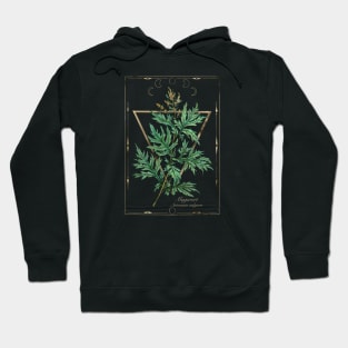 Magic herbs. Witchcraft Hoodie